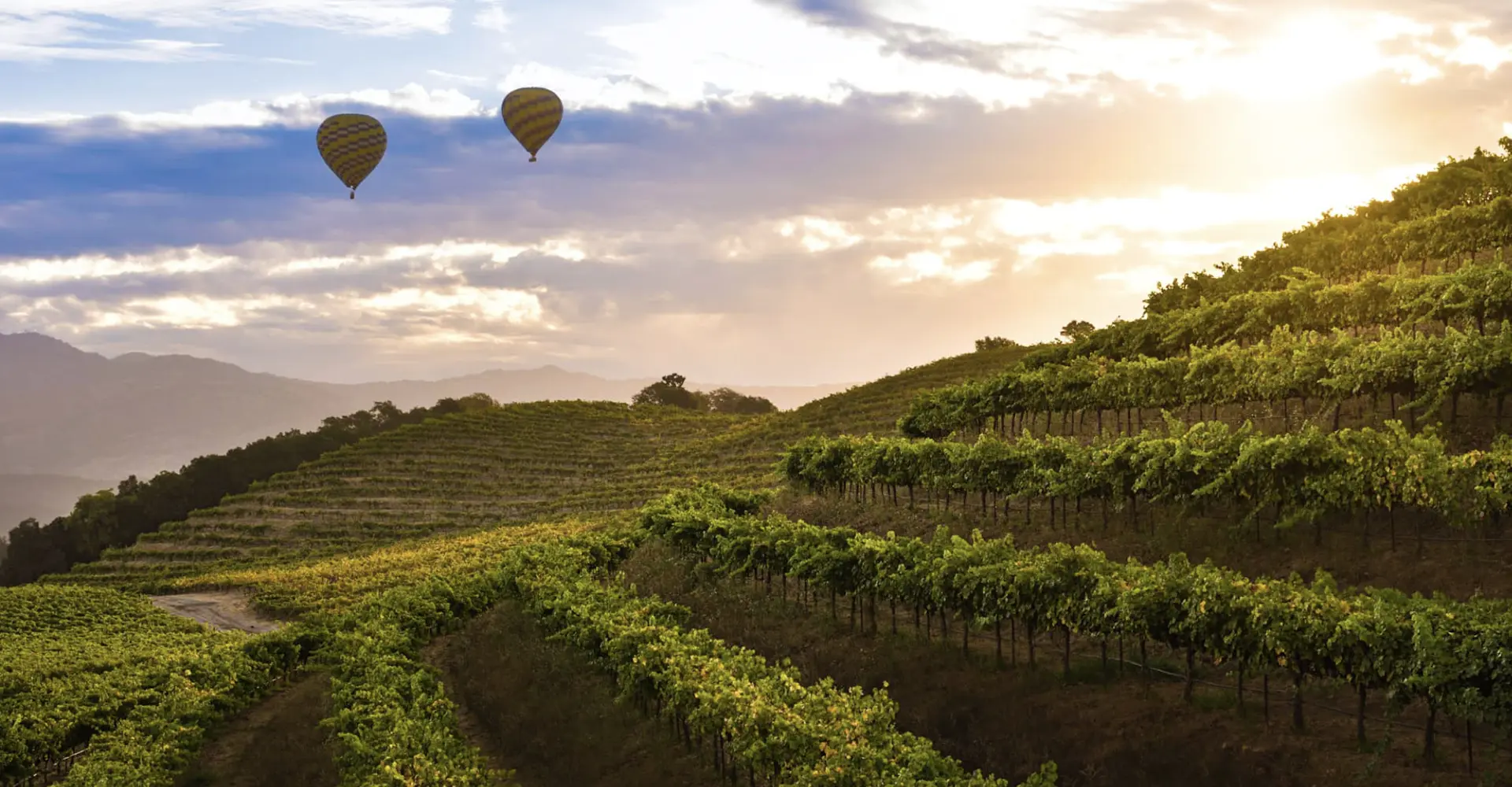 Napa Valley